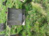 image of grave number 565464